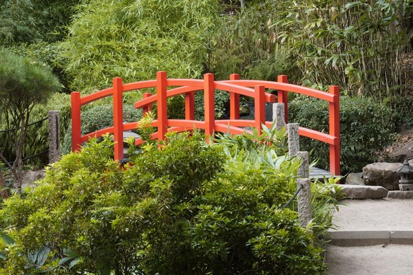 Gestion de la ménopause : Conseils pour vivre cette transition sereinement