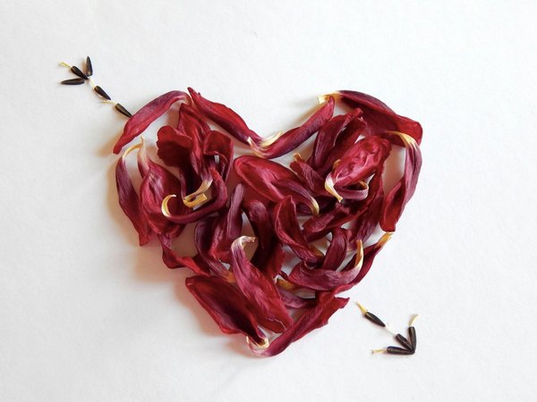 10 citations percutantes pour célébrer un amour intense