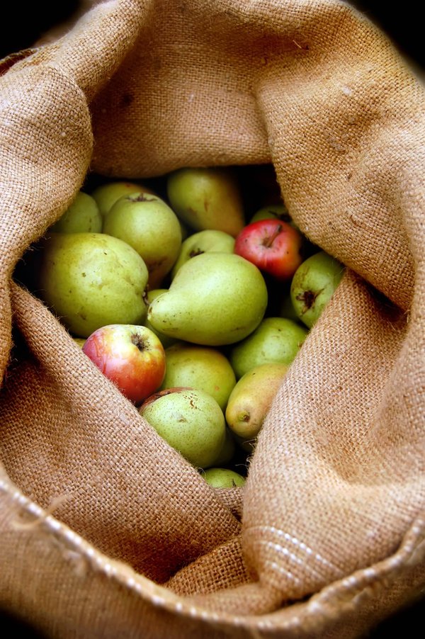 idées de collations saines pour une pause gourmande